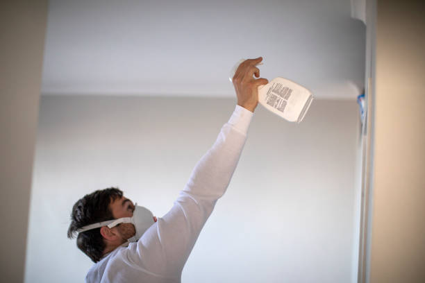 Best Residential Mold Remediation in Fairmount, NY
